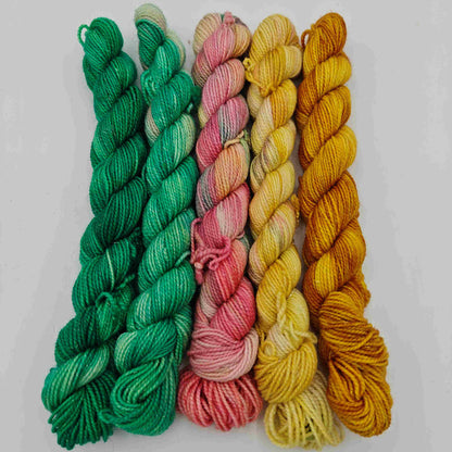 Taikasetti, 5x20g - Aarre