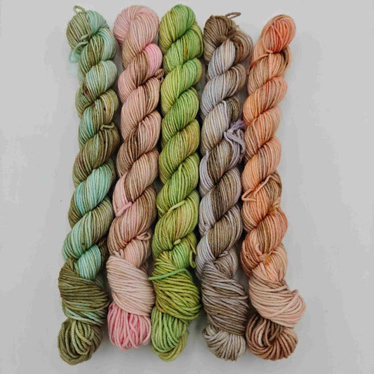 Minisetti, 5x20g - Hillityt